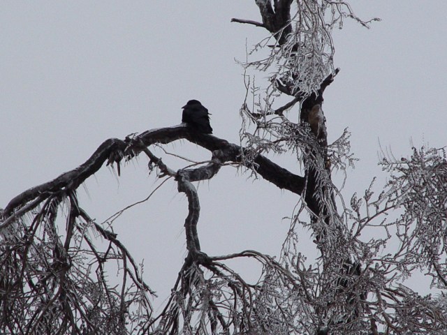 file000131088584 (1)