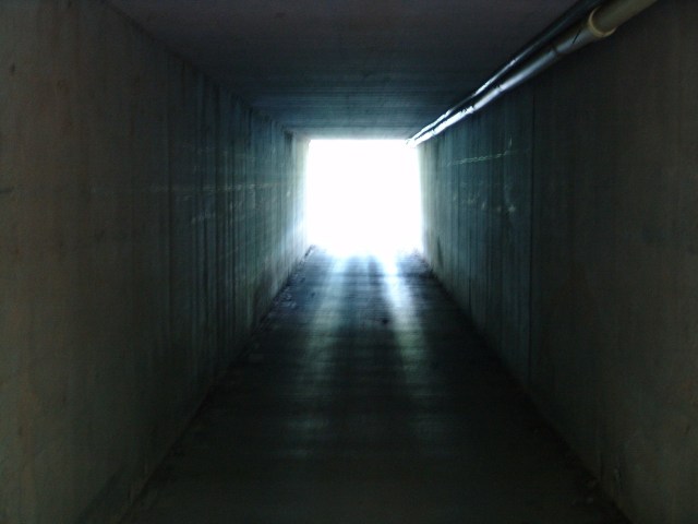 ???????????????????????????????